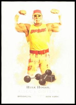 307 Hulk Hogan